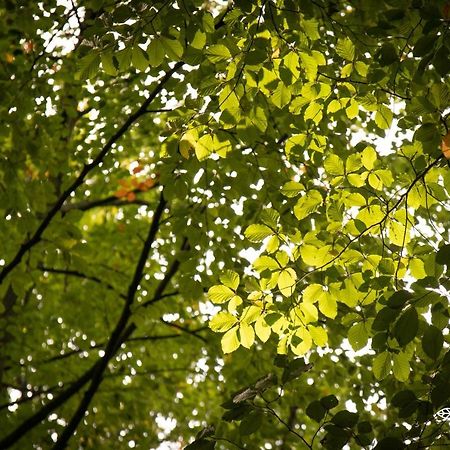 Lembeke Barbos Bed & Breakfast エクステリア 写真