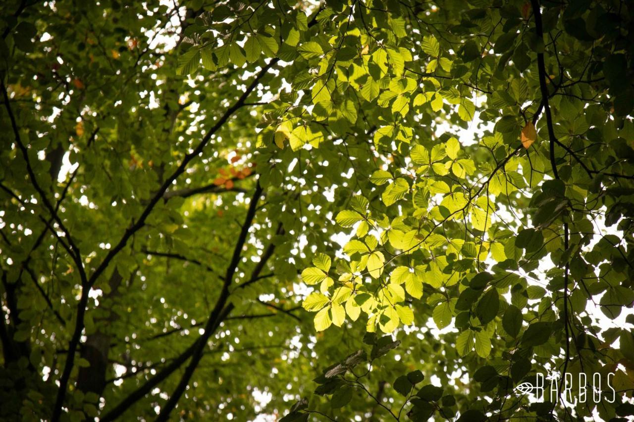 Lembeke Barbos Bed & Breakfast エクステリア 写真